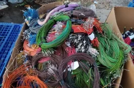 istockphoto-1478387022-612x612