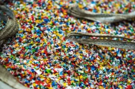 istockphoto-1589548180-612x612