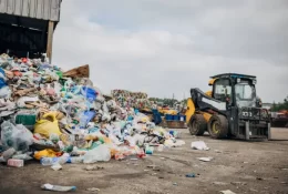 istockphoto-1600539583-612x612